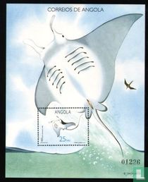 Rays 