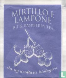 Mirtillo E Lampone