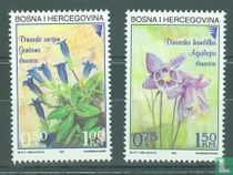 Bloemen