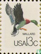 Mallard