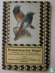 Einheimische Vögel 