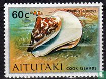 Sea creatures and shells