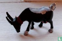 Bok