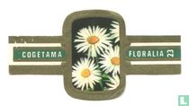 Floralia (green wings) cigar labels catalogue