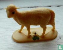 Little Lamb