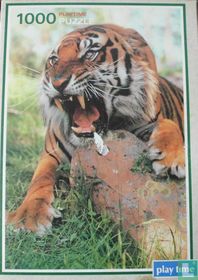 Siberian Tiger