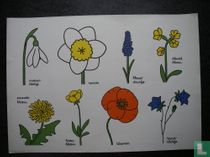 Poster Bloemen Dick Bruna