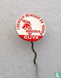 Chemisch reinigen en verven Succes Cuyk