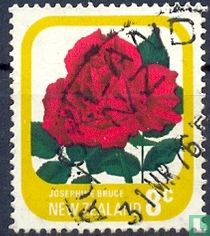 Des roses