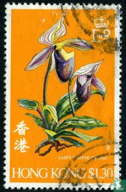 Orchids