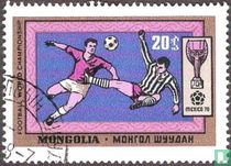 Fußball-Weltmeisterschaft kaufen