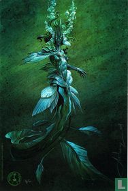 Les eaux noires de Venise