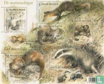 The Mustelids