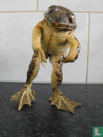 Lithobates catesbeianus
