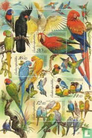 Parrots