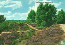 Groeten uit Wapenveld