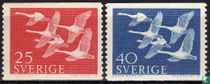 Norden - Swans