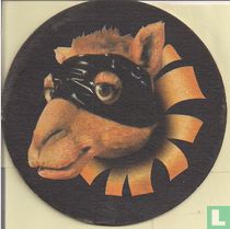 Camel