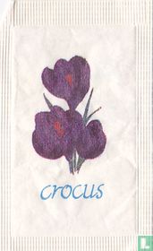Crocus 