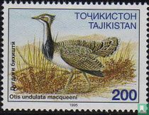 Oiseaux    