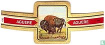 Wild animals (Aguere) (Animales salvajes) cigar labels catalogue