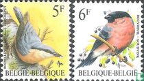 Vogels kopen