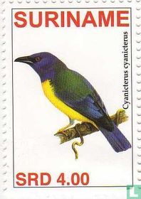Blue-backed Tanager