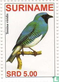 Swallow Tanager