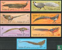 Pheasants for sale
