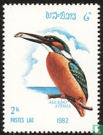 Oiseaux