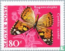 Papillons acheter