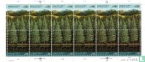 den Wald retten kaufen