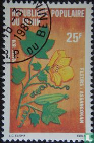 Fleurs acheter