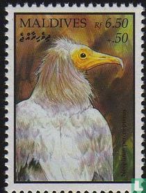 Oiseaux