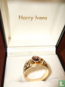 Harry Ivens Herenring 