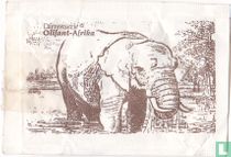 Olifant, Afrika 