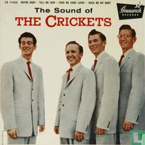 The Sound of The Crickets