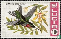 Oiseaux   