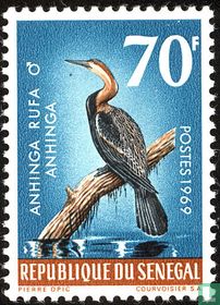 Oiseaux 