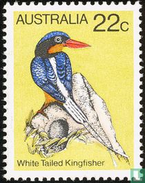 Vögel