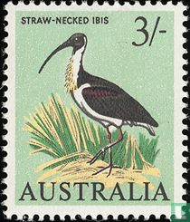 Oiseaux