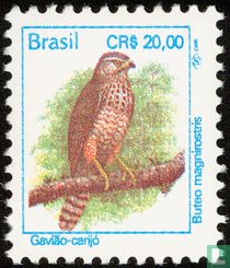 Oiseaux indigènes