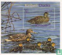 Enten kaufen