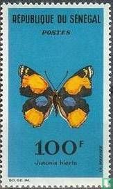 Papillons