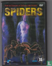 Spiders