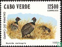 Oiseaux   