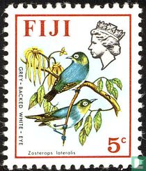 Vögel und Blumen