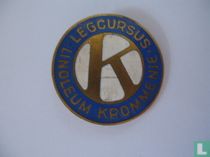 Legcursus Linoleum Krommenie kaufen