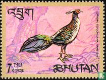 Oiseaux      