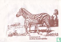 Zebra-Zuid-Afrika